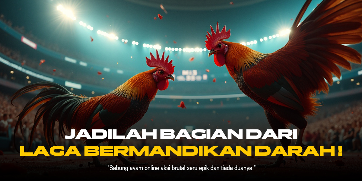 Mengguncang Dunia Sabung Ayam Bersama Provider SV388